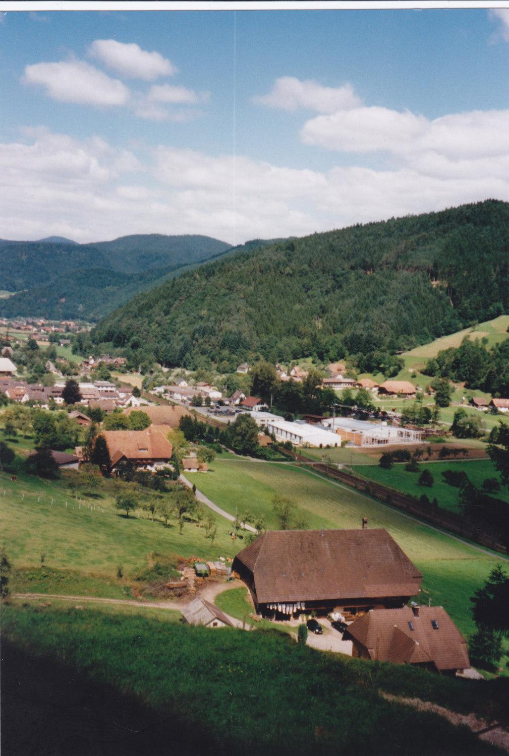 Waeldebauernhof Hotel Gutach Luaran gambar