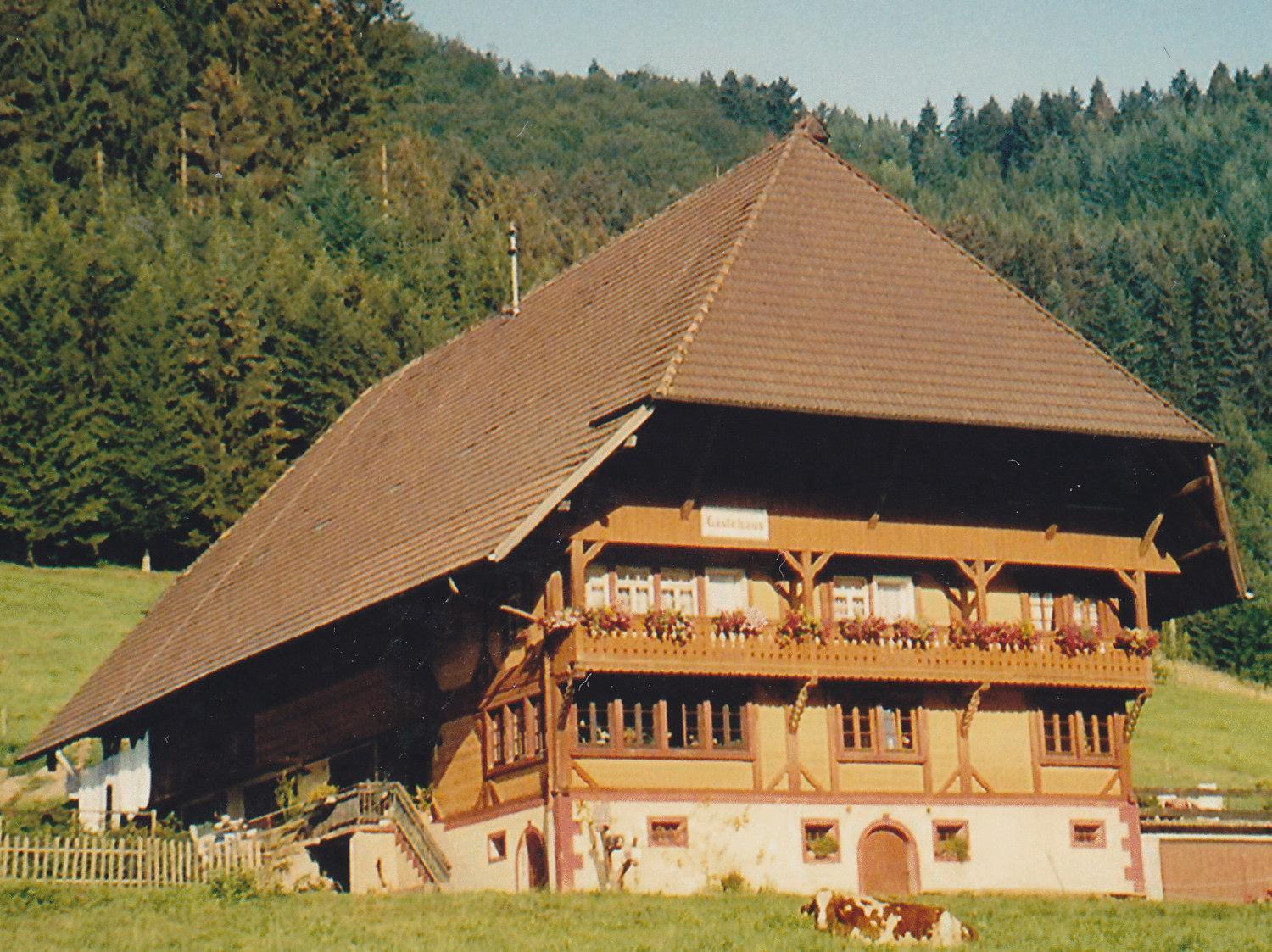 Waeldebauernhof Hotel Gutach Luaran gambar